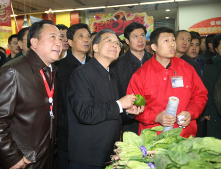 Premier Wen visits blizzard-hit province