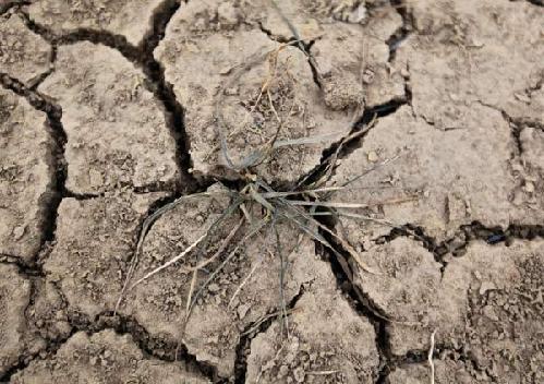 Bank offers 10 b yuan loans to drought-hit regions