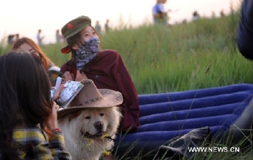 Grassland music festival attracts fans in N China