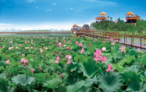 Baiyangdian Lake